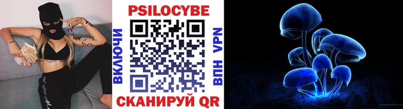 Галлюциногенные грибы мицелий где продают наркотики hydra как войти Сургут