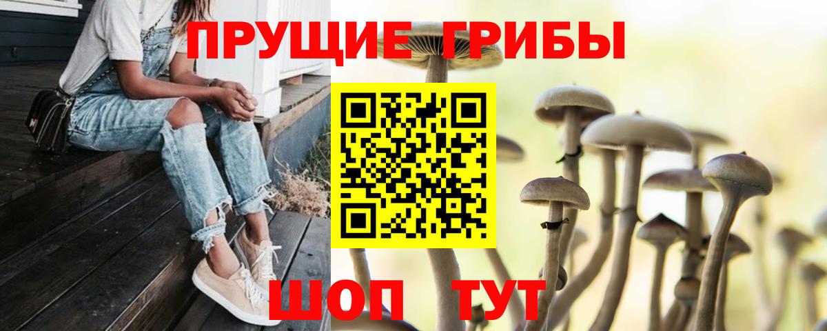 купить наркотик  Галлюциногенные грибы ЛСД  Вход с VPN  Сургут  Псилоцибиновые грибы Magic Shrooms 